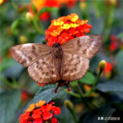 修仙幻想游戏下载